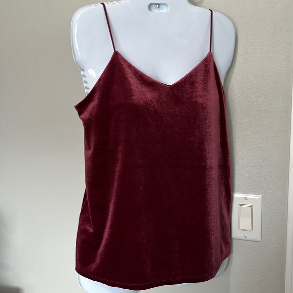 A New Day Tank